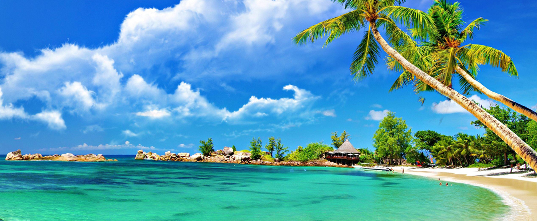 Yoga Teacher Training in Goa