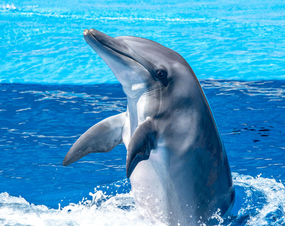 Yoga TTC in Sri Lanka