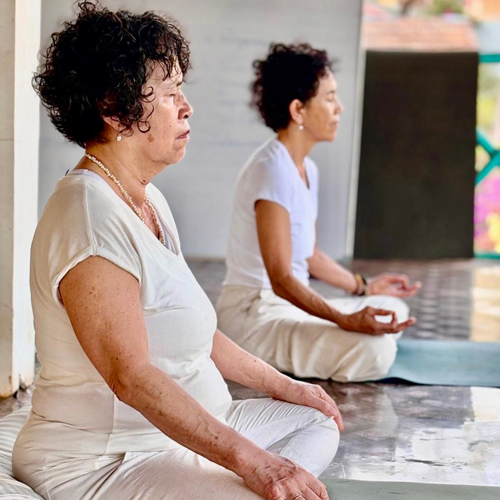 Goa Yoga Course