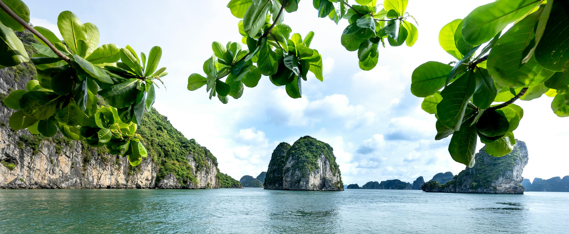 Yoga TTC in Thailand 